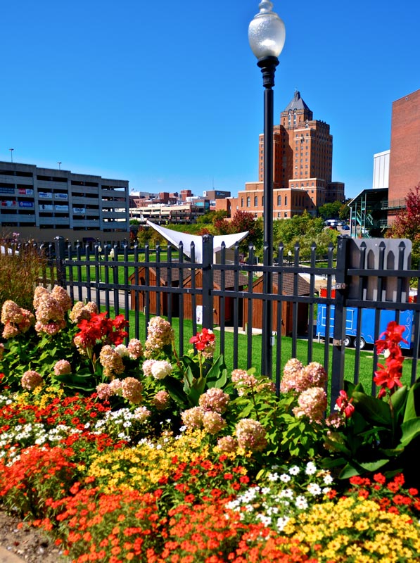 Downtown garden with flowers with city buildings in the background